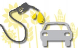 Biobrandstoffen: Geen voedsel in de benzinetank
